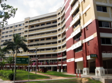 Blk 554 Hougang Street 51 (S)530554 #239052